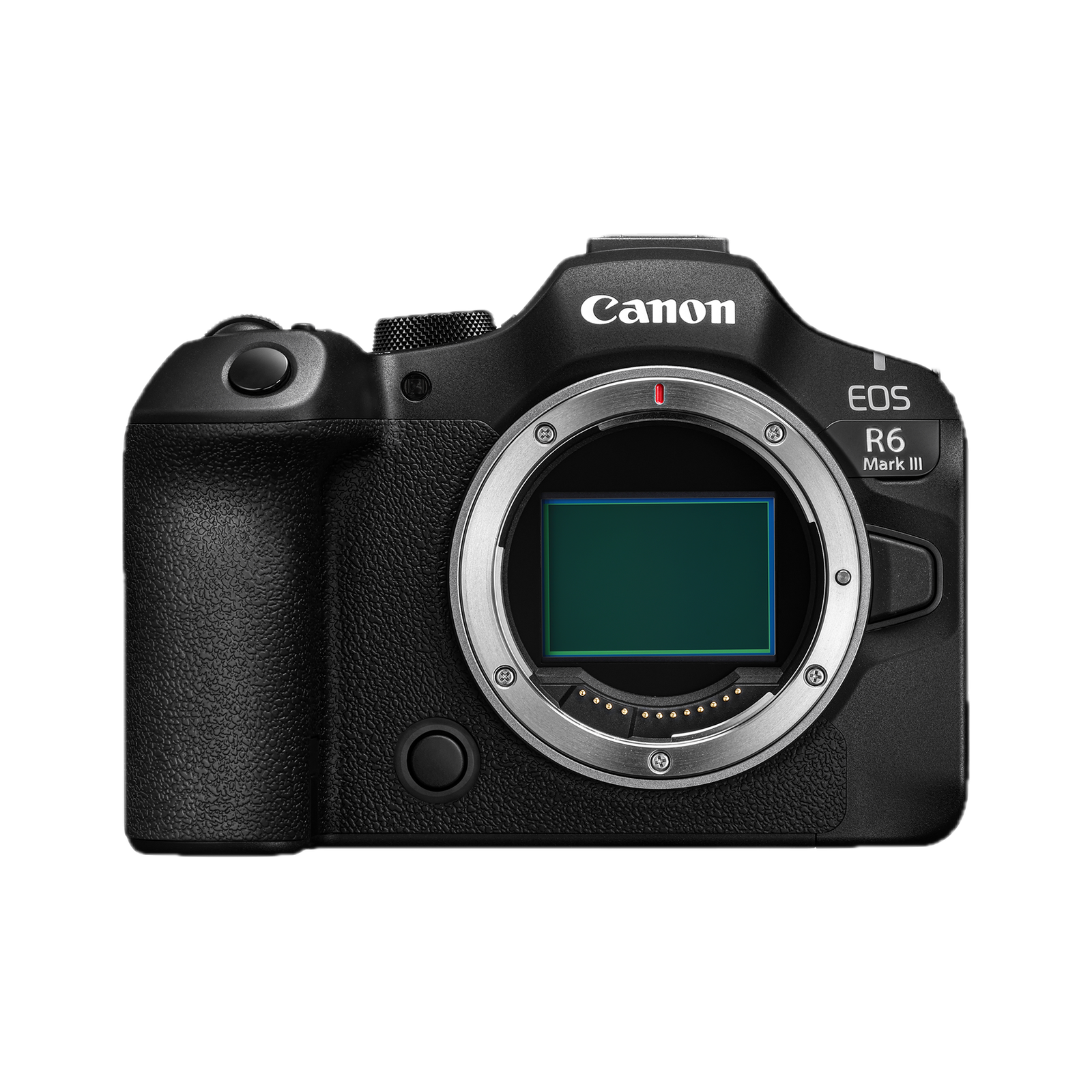 Canon EOS R6 Mark III rumored for May with a 24MP stacked sensor